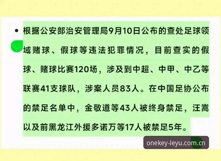 足协第三批禁足名单深度解读：17人终身禁赛 vs 48人五年禁赛，中国足球反腐风暴再升级